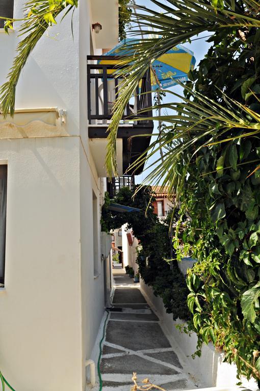 Dimitris Studios Kokkari Exteriör bild